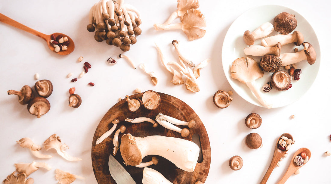 Various forms of mostly brown mnushrooms on a white background. They are paired with a blog titled "The Brain-Gut Connection: The Best Medicinal Mushrooms for Your Gut".