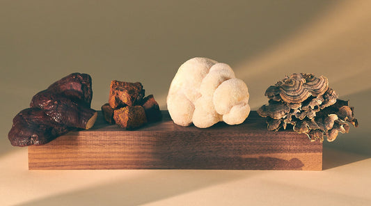 A slab of wood with the 4 functional mushrooms on it- Reishi, Chaga, Lion's Mane and Turkey Tail.