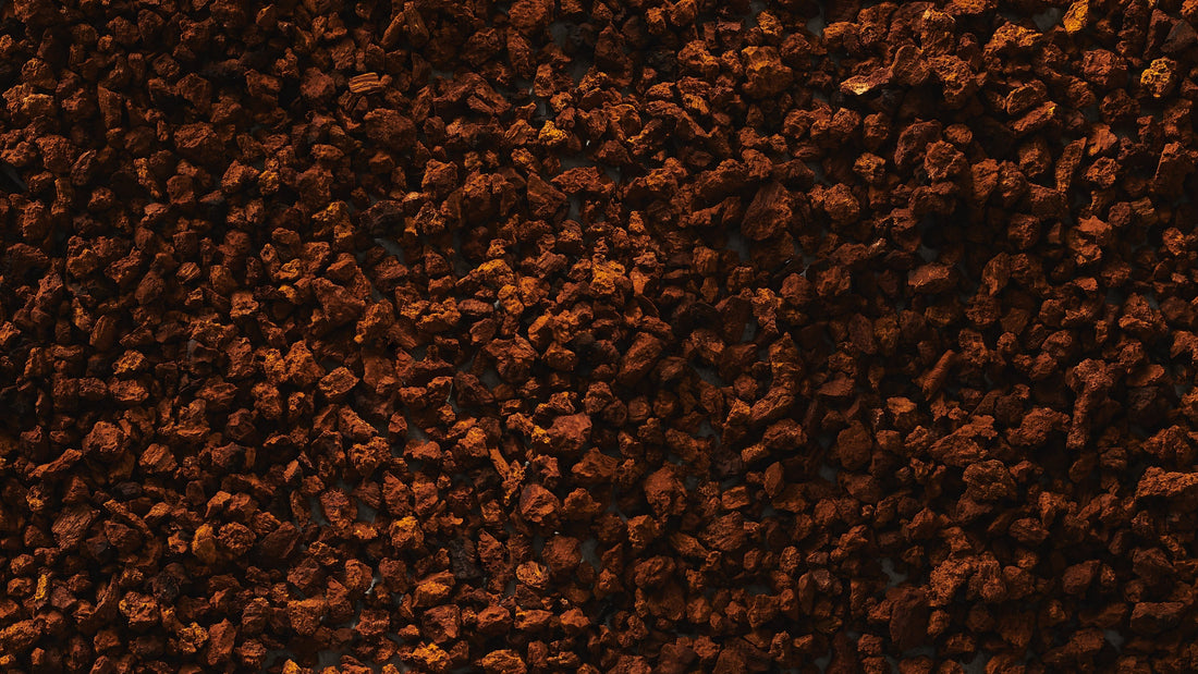 A close-up view of dried Chaga mushroom chunks, showcasing their rough, dark brown, and textured surface. Chaga is a functional mushroom known for its antioxidant and immune-supporting properties.
