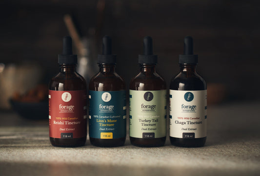 A row of Forage Hyperfoods mushroom tinctures in a row paired with a blog title of "What are Functional Mushroom Tinctures? Here’s What You Need to Know".