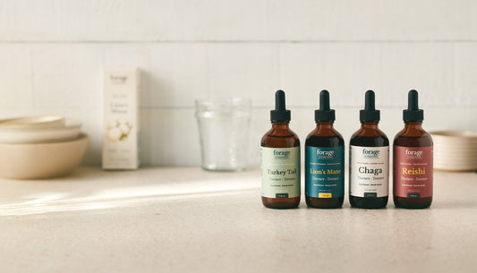 The collection of Forage Hyperfoods' Original Turkey Tail, Lion's Mane, Chaga, and Reishi tincture bottles in a row on a kitchen countertop. Paired with blog "Do Mushroom Supplements Work? Here's What You Need to Know."