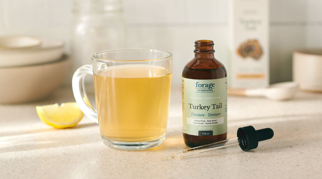 Turkey Tail tincture in the Alcohol-Free format next to tea infused with the tincture.
