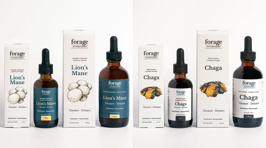 The Difference Between Original and Alcohol-Free Tinctures