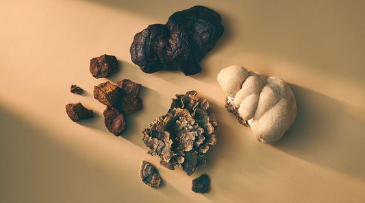 The Science of Immunomodulation