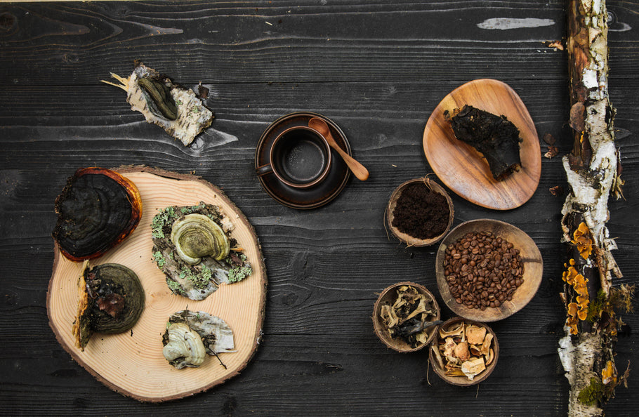 A close up of a table with various traditional eastern medicine components including dried mushrooms. It is paired with an article about "The Key Differences Between Chaga, Reishi, Turkey Tail, Cordyceps & Lion’s Mane"