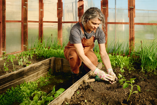 A woman gardening inside a greenhouse, planting seedlings in rich soil while wearing gloves. Gardening in spring can expose individuals to pollen and allergens, a common trigger for seasonal allergies.