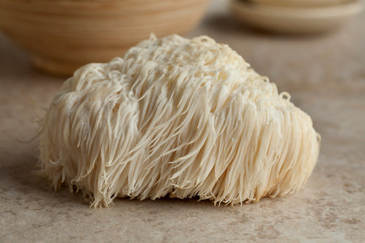 A lion's mane mushroom with long white tendrils on a neutral background paired with the Forage Hyperfoods blog of "5 Incredible Benefits of Lion's Mane Mushrooms" which outlines the health benefits of this mushroom.