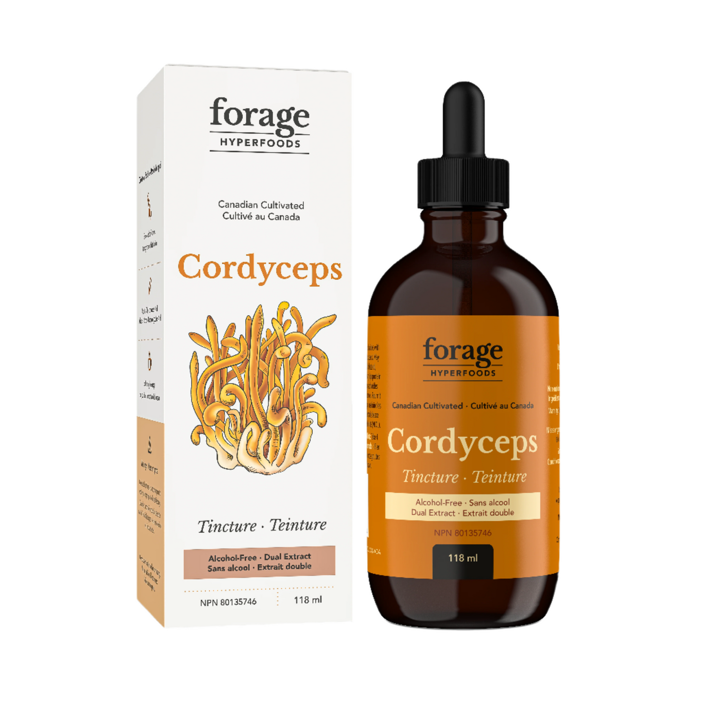 Cordyceps Alcohol-Free TIncture, Liquid Mushroom Extract Supplement