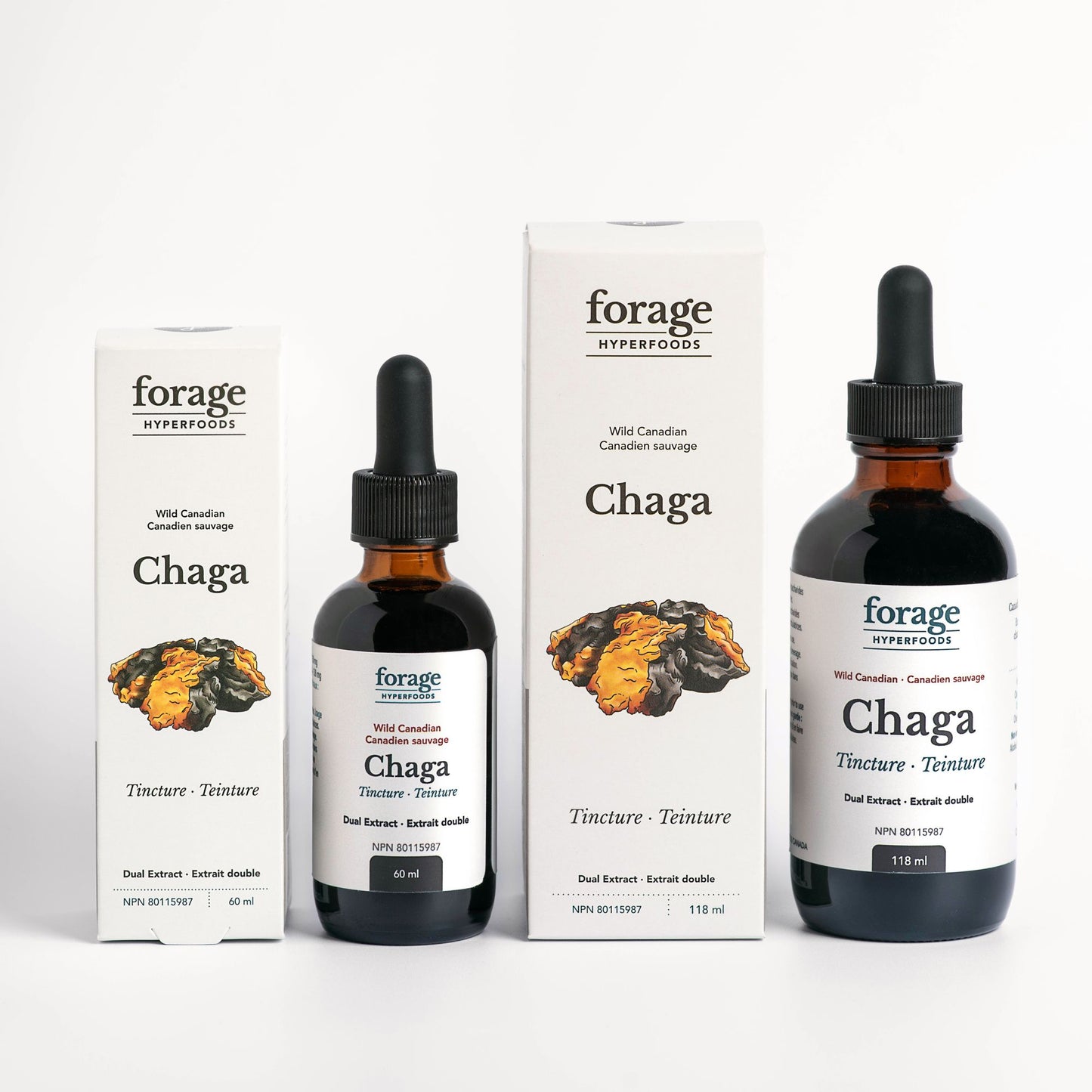 Teinture de Chaga - Originale