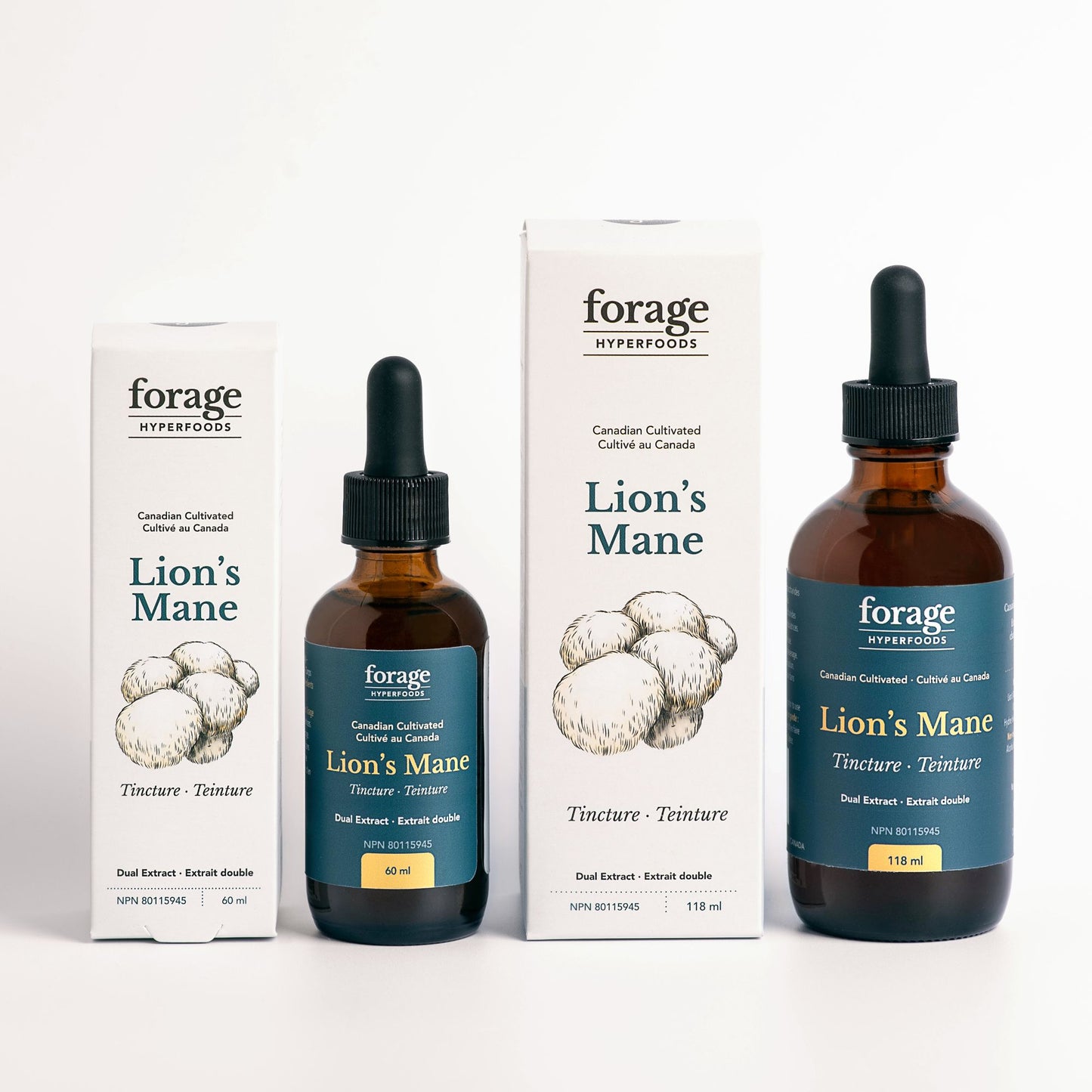 Lion's Mane Tincture - Original