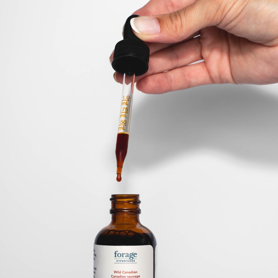Somebody dripping tincture, or mushroom extract from a tincture bottle through a dropper.