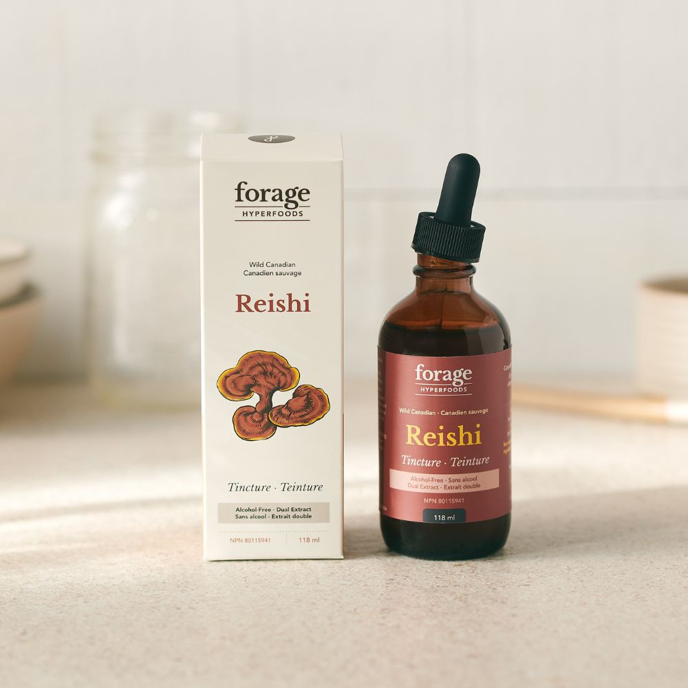 Reishi Tincture Alcohol Free by Forage Hyperfoods. It is a tincture bottle next to a box. The cap is slightly taken off.