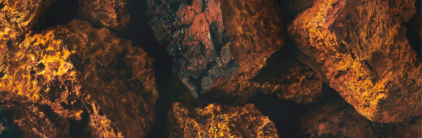 Chaga Chunks up close.