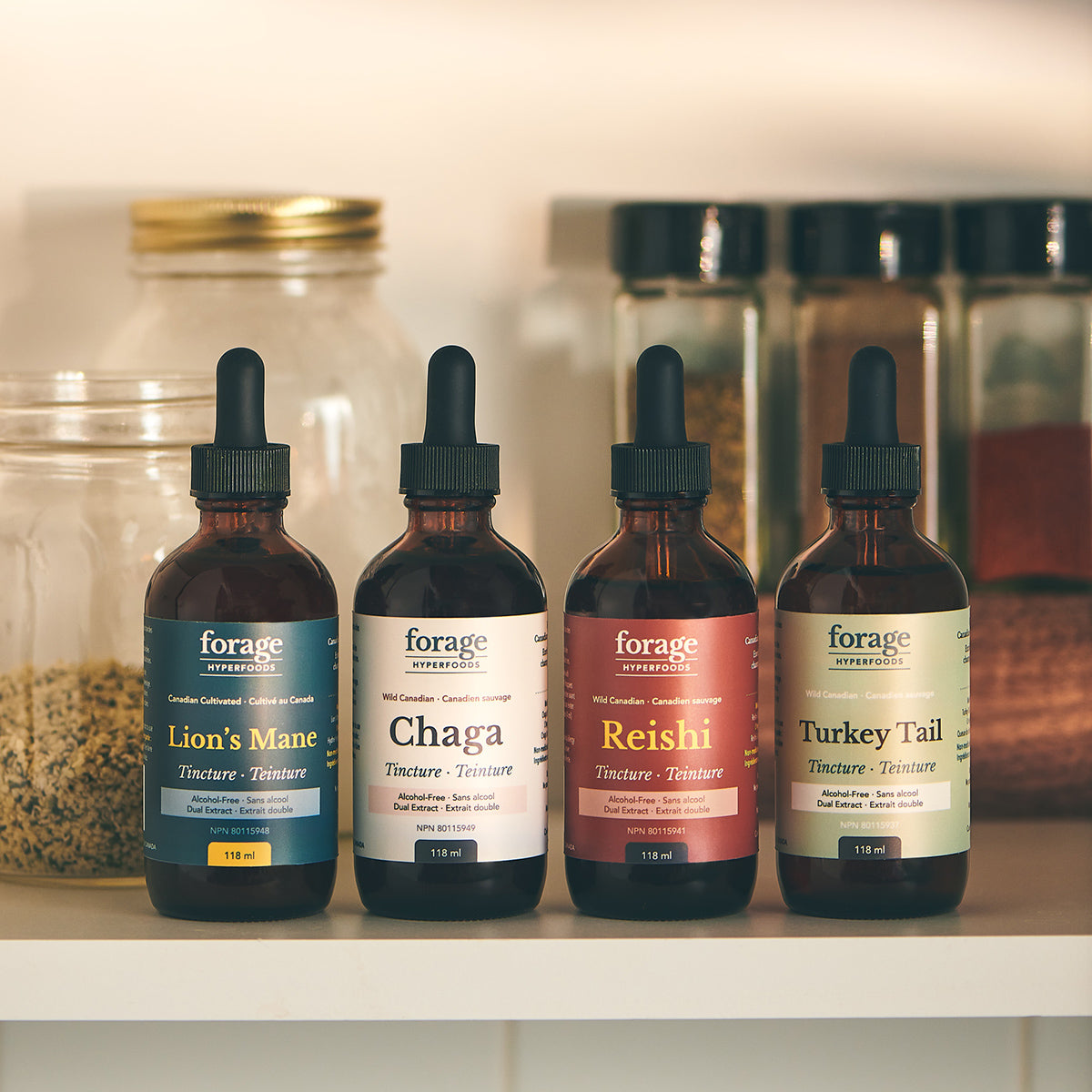 The Forager Set in the Alcohol-Free Format. It includes 4 bottles and tinctures- Chaga, Reishi, Turkey Tail and Lion’s Mane. They’re in a 118 ml format. They are positioned in an everyday cabinet, with various spices in the background.