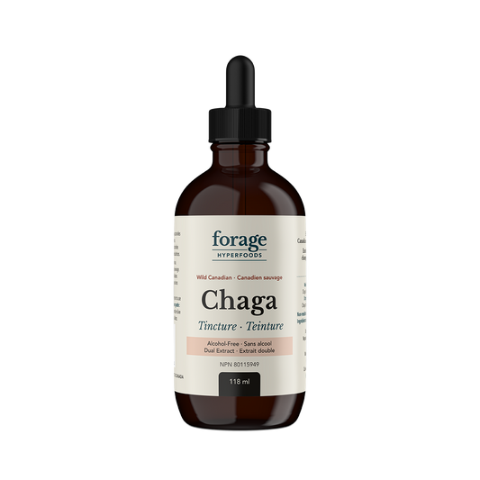 A dark glass bottle of Forage Hyperfoods Chaga tincture in the alcohol-free format. 