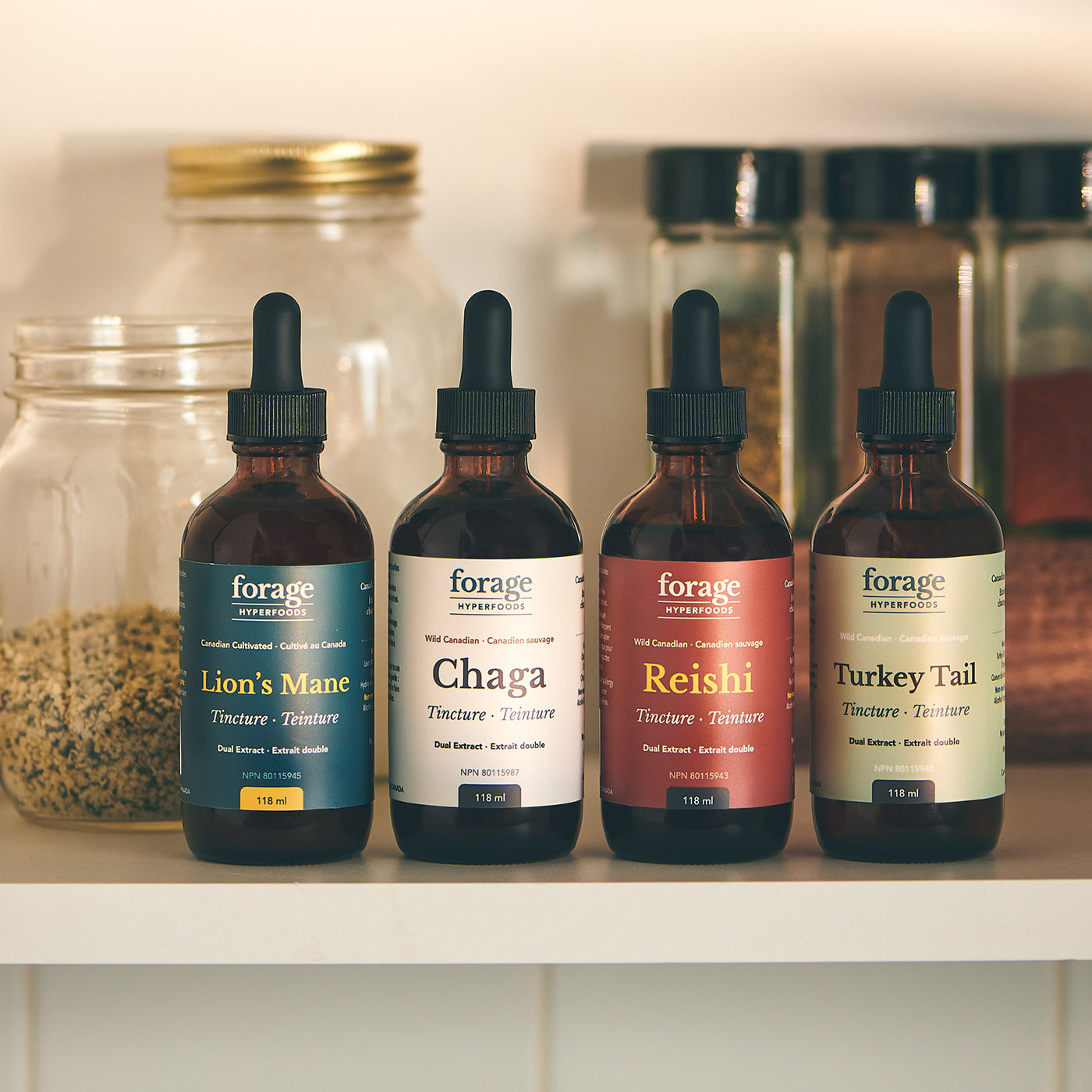 Lion's Mane Tincture - Original