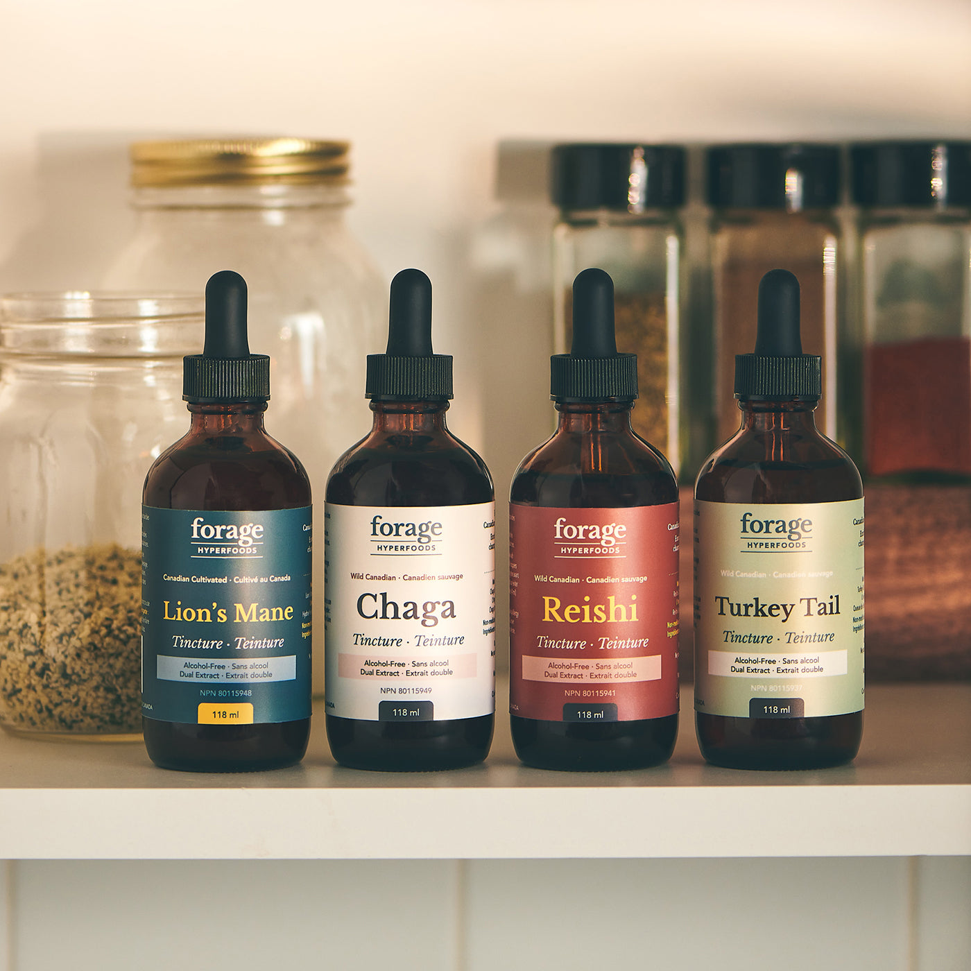 Chaga Tincture - Alcohol Free