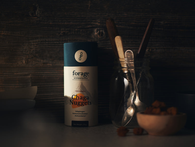 A moody product shot of the Forage Hyperfoods Chaga in cylindrical packaging. 