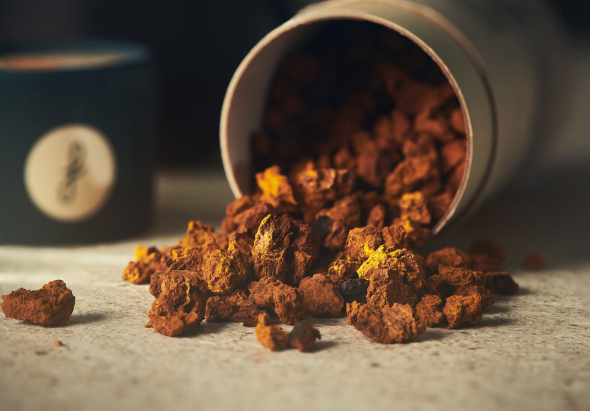 Forage Hyperfoods Canadian Chaga Chunks or Nuggets spilled out onto a counter top surface accompanying the blog with the title 'How Does Chaga Grow? Here's Everything You Need to Know'.  