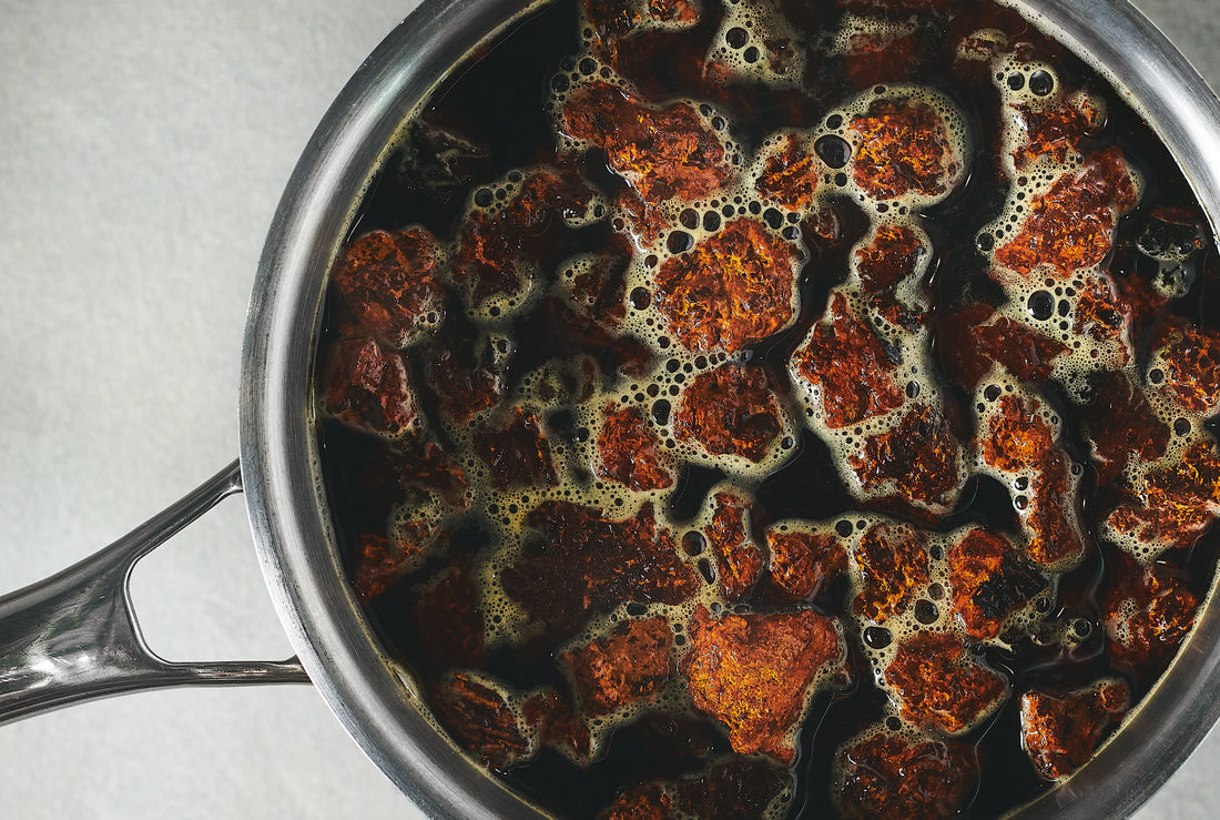 A stainless steel pot of Chaga chunks simmering in water. It is paired with a blog titled "Chaga for the Immune System: How Does It Help?"