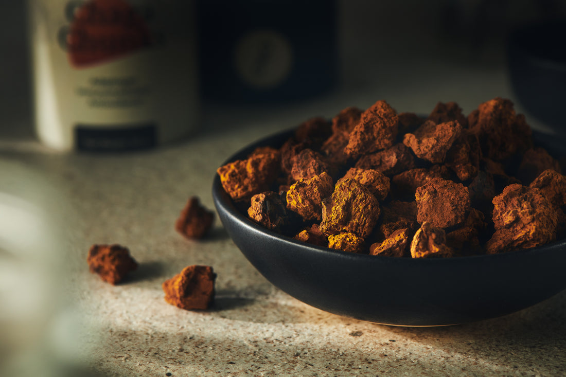 A black ceramic bowl filled with small chunks of Chaga. It is paired with the Forage Hyperfoods blog called "What are Chaga Mushroom's Benefits?" 