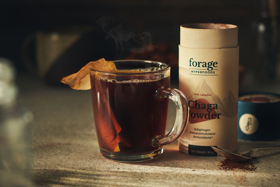 A close up of Chaga tea in a transparent mug with the old Forage Hyperfoods cylindrical Chaga packaging. 