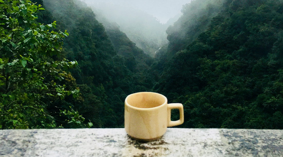 A cup of tea over an edge overlooking a misty forest. 