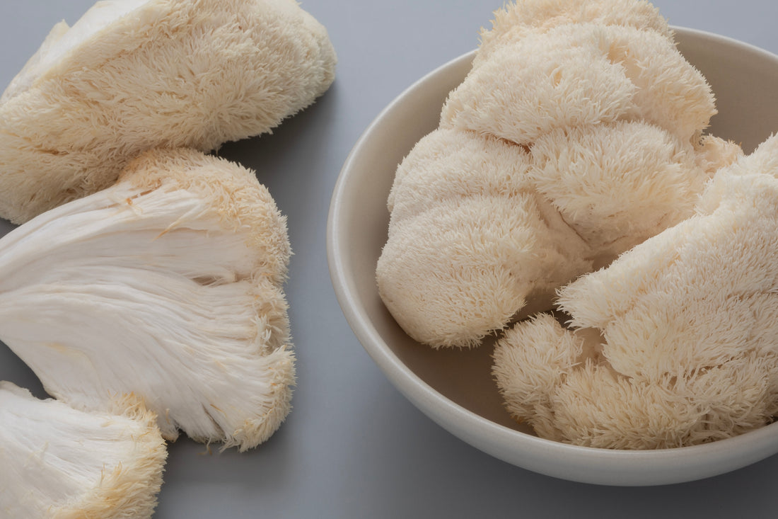 Closeup view of Lion's Mane mushrooms in a white bowl with a light grey background. 