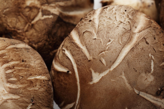 Close up of whole, raw Shiitake mushrooms.