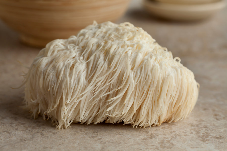 A lion's mane mushroom with long white tendrils on a neutral background paired with the Forage Hyperfoods blog of "5 Incredible Benefits of Lion's Mane Mushrooms" which outlines the health benefits of this mushroom. 