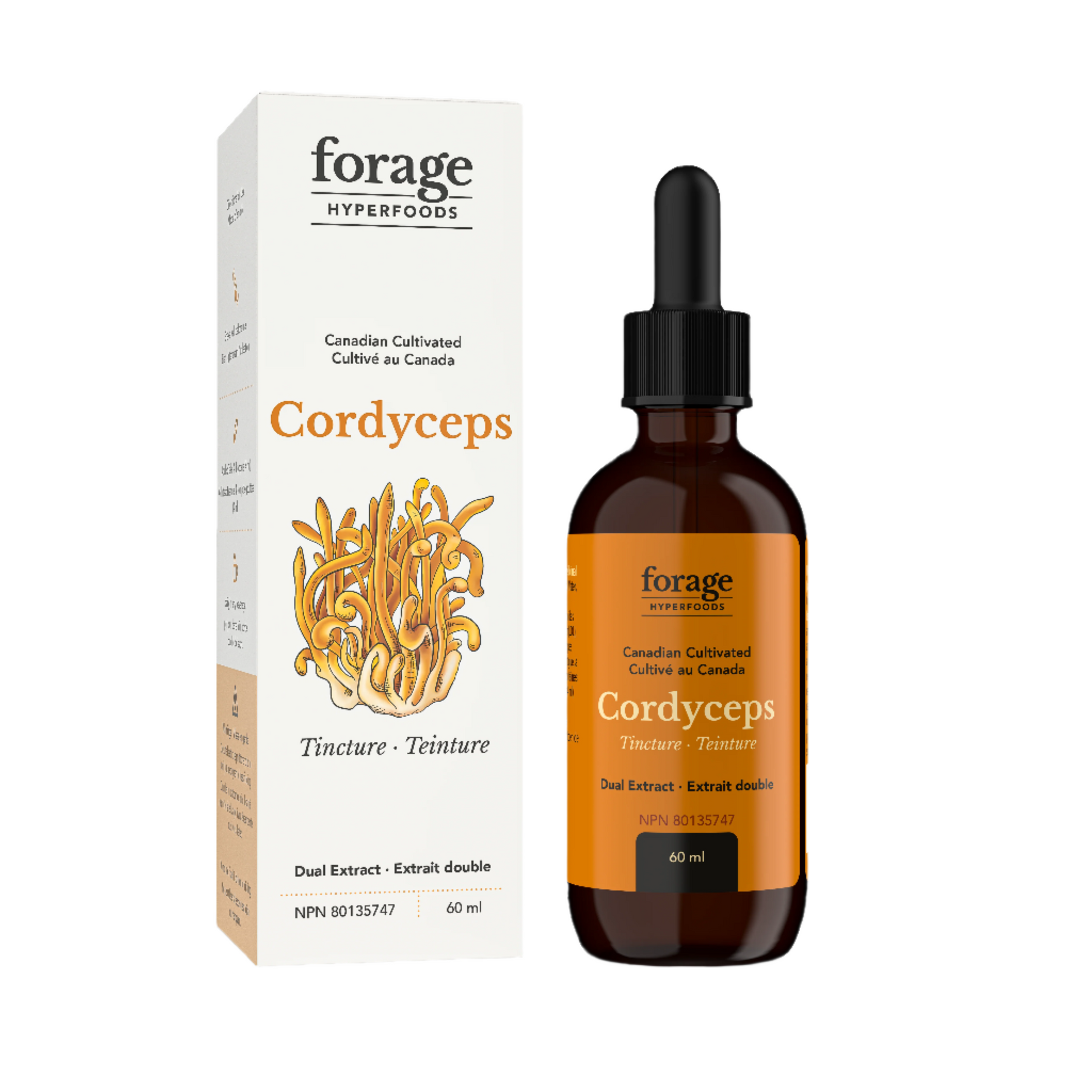 60 mL Cordyceps Tincture Original, Liquid Extract Mushrooms 