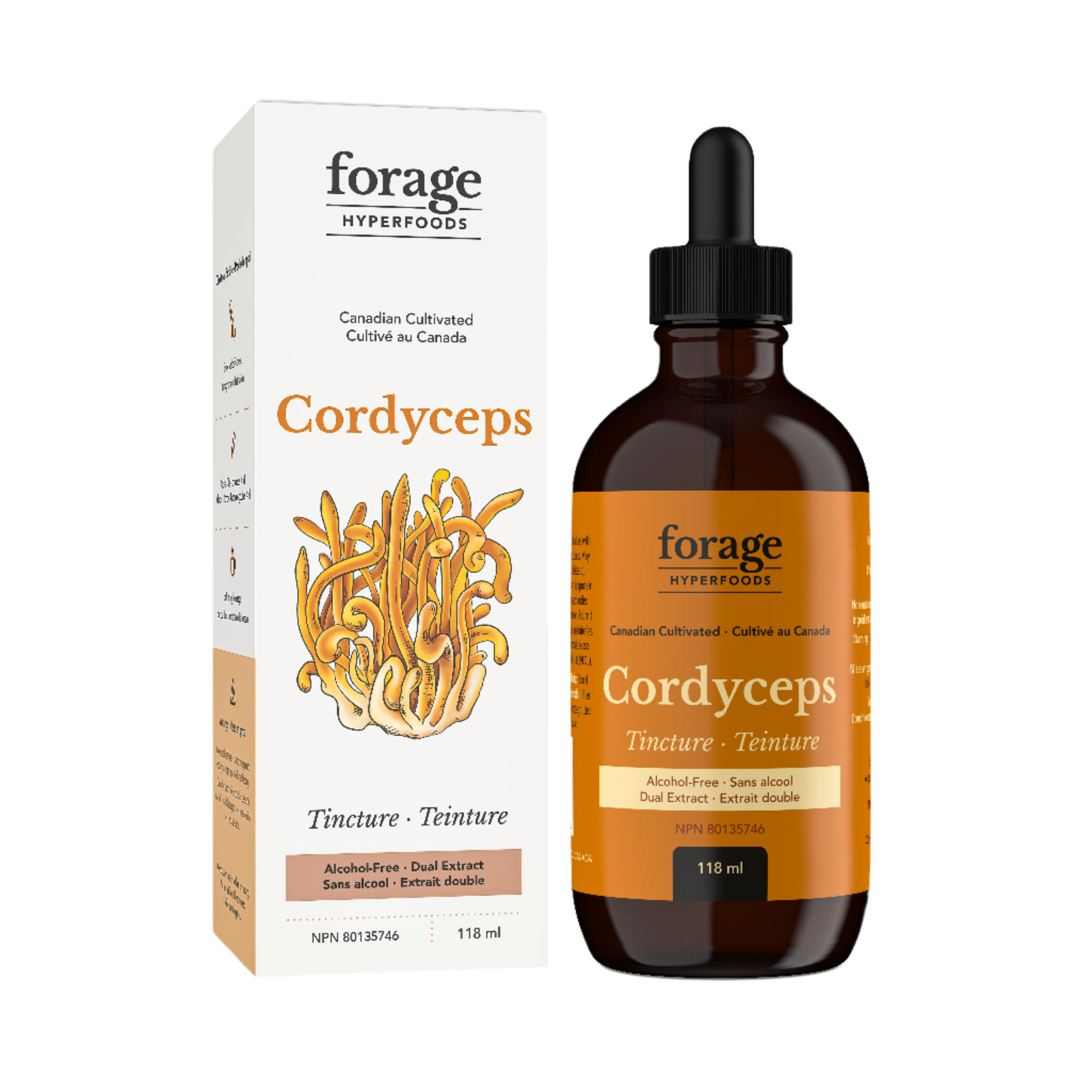 Cordyceps Alcohol-Free TIncture, Liquid Mushroom Extract Supplement 