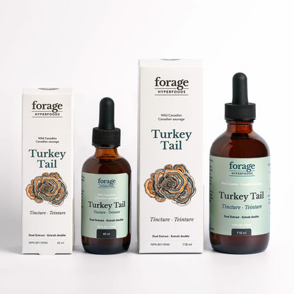 Turkey Tail Tincture - Original