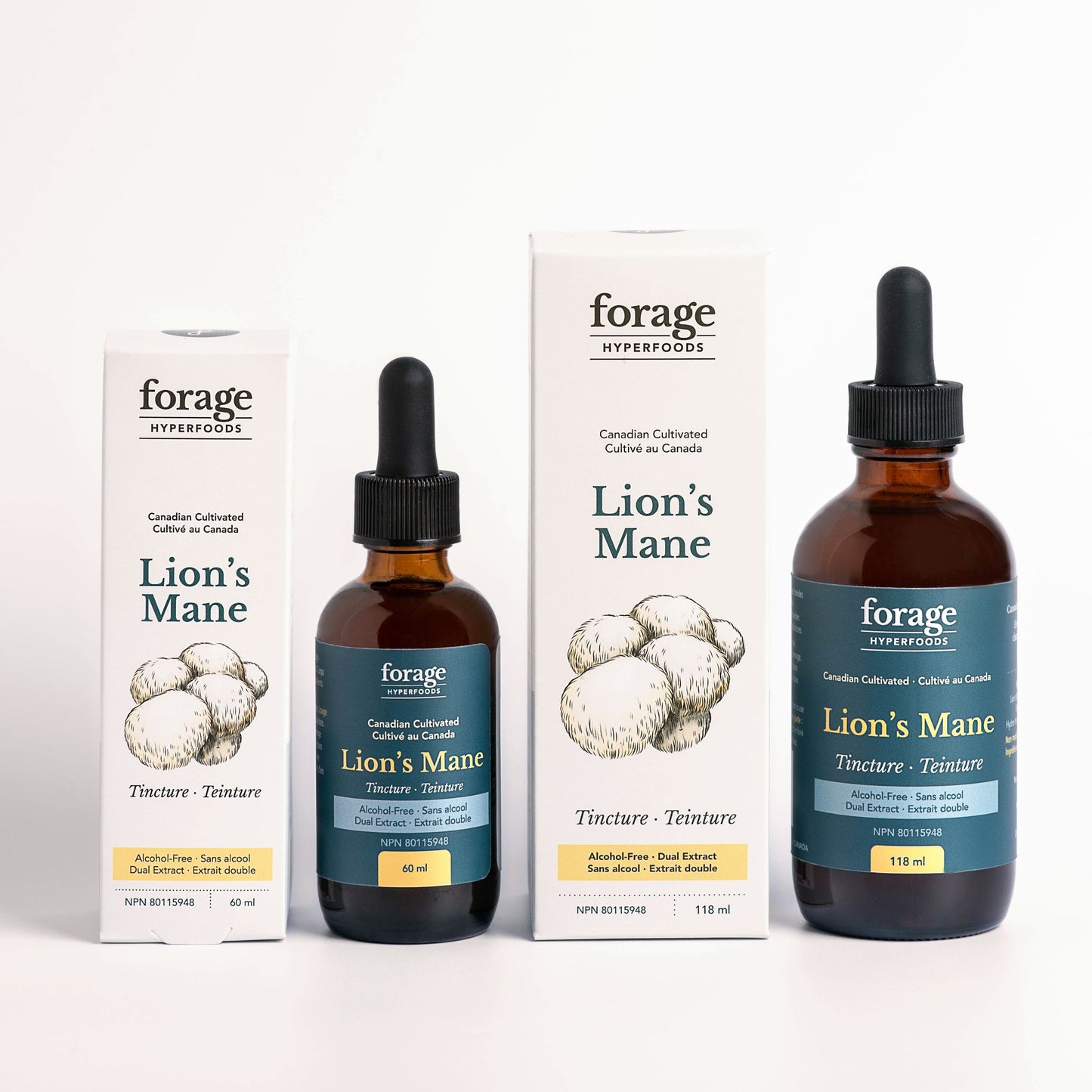 Lion's Mane Tincture - Alcohol Free