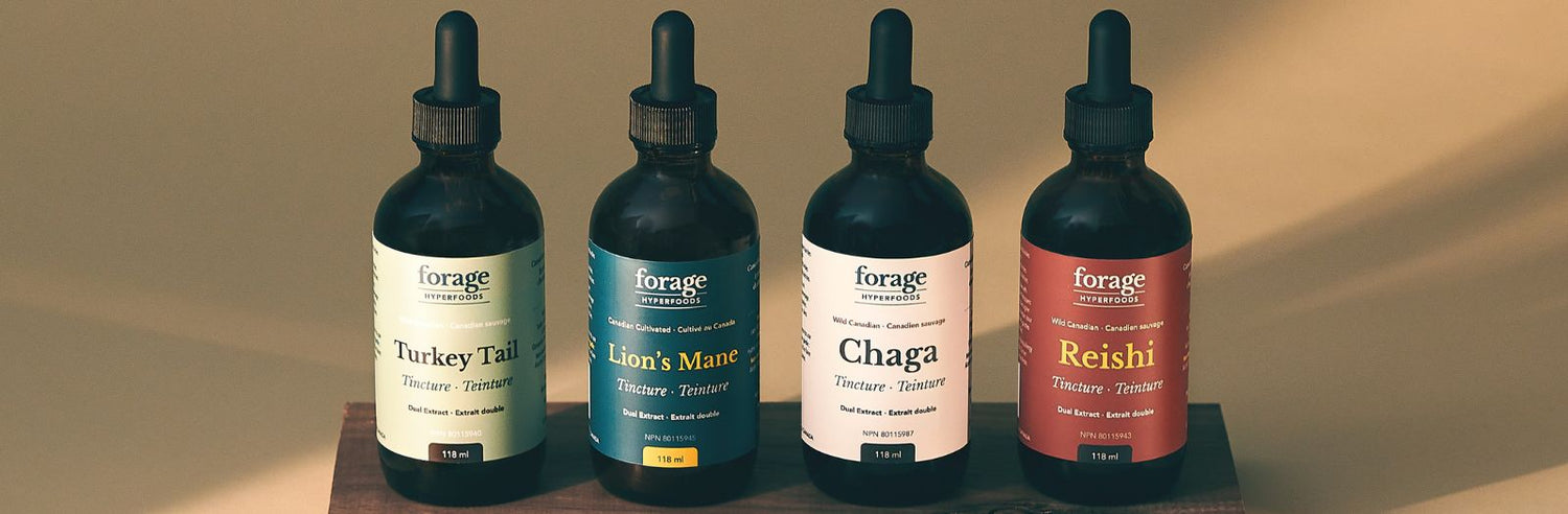 A close up of our 4 tincture offerings available in Turkey Tail, Lion's Mane, Chaga and Reishi. 