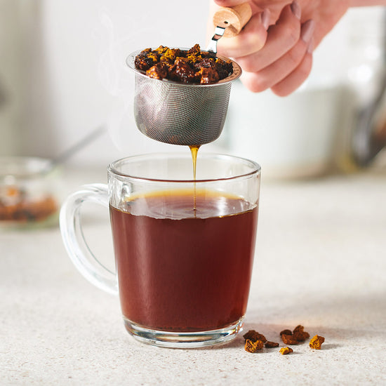 Smaller Canadian Chaga chunks known as tea nuggets being strained from a Chaga tea in a transparent cup. The tea is a rich dark cinnamon colour. 