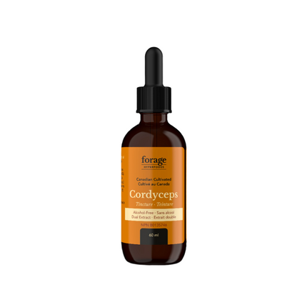 60 mL Alcohol-Free Cordyceps Mushroom Extract, Tincture, Liquid Supplement 