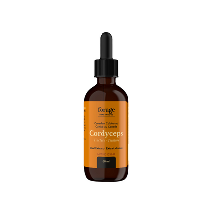 Cordyceps alcohol-extract tincture functional mushroom easy to dose 