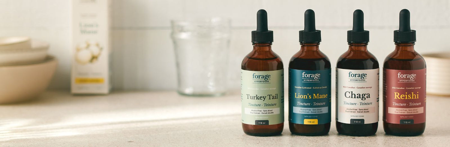 The 4 Alcohol-Free Tinctures from Forage Hyperfoods including Turkey Tail, Lion's Mane, Chaga and Reishi. 