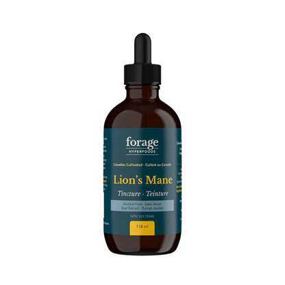 A dark glass bottle of Forage Hyperfoods Lion's Mane tincture in the alcohol-free format. The mushrooms are cultivated in Canada. 