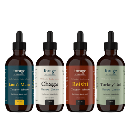 The Forager Set in the Original Format. It includes 4 bottles and tinctures- Chaga, Reishi, Turkey Tail and Lion’s Mane. They’re in a 118 ml format. 