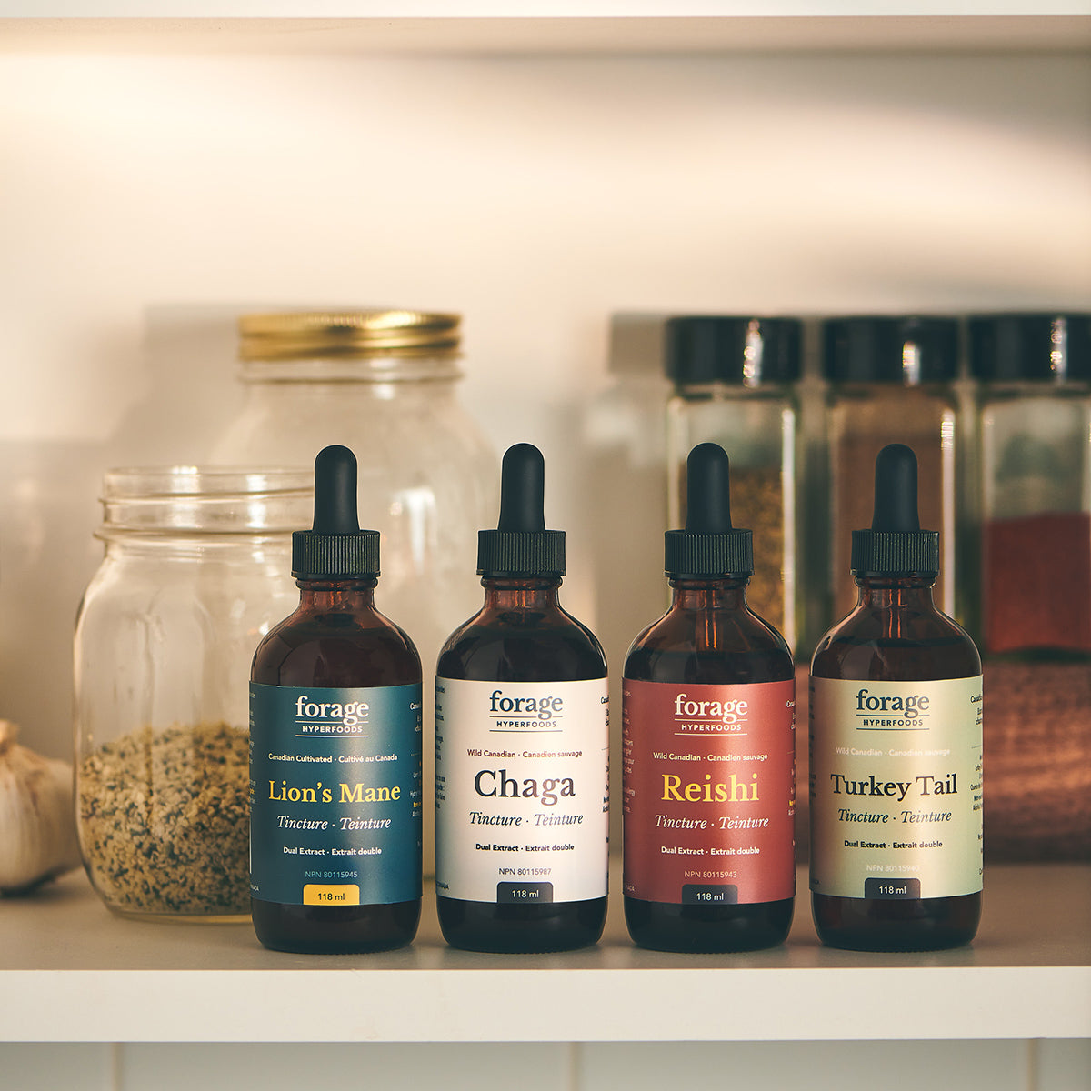 The Forager Set in the Alcohol-Free Format. It includes 4 bottles and tinctures- Chaga, Reishi, Turkey Tail and Lion’s Mane. They’re in a 118 ml format. They are positioned in an everyday cabinet, with various spices in the background.