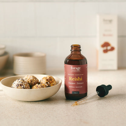 A tincture bottle of Original Reishi Tincture from Forage Hyperfoods next to a healthy date and nut ball showing the products ease of use