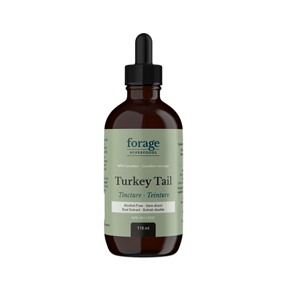 A dark glass bottle of Forage Hyperfoods Turkey Tail tincture in the Alcohol-Free format.
