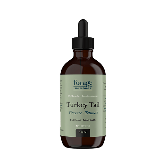 A dark glass bottle of Forage Hyperfoods Turkey Tail tincture in the original format.